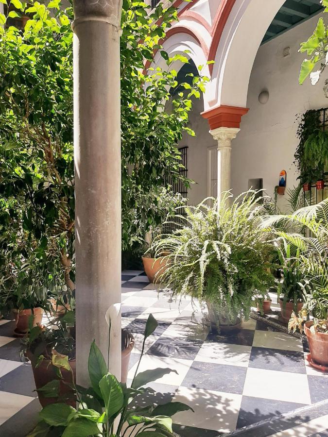 شقة إشبيلية  في Downtown Loft In A 16Th Century Convent المظهر الخارجي الصورة