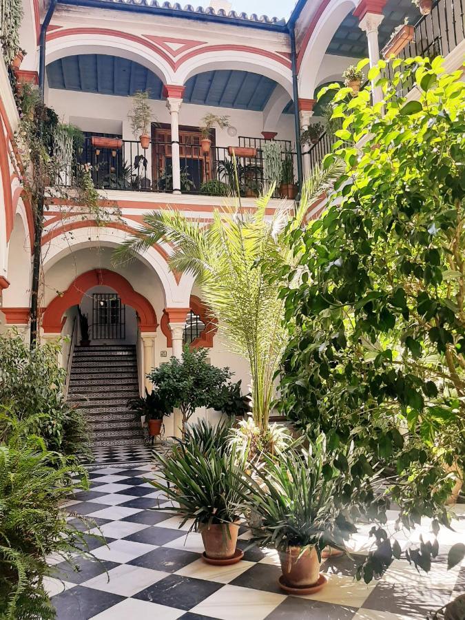 شقة إشبيلية  في Downtown Loft In A 16Th Century Convent المظهر الخارجي الصورة